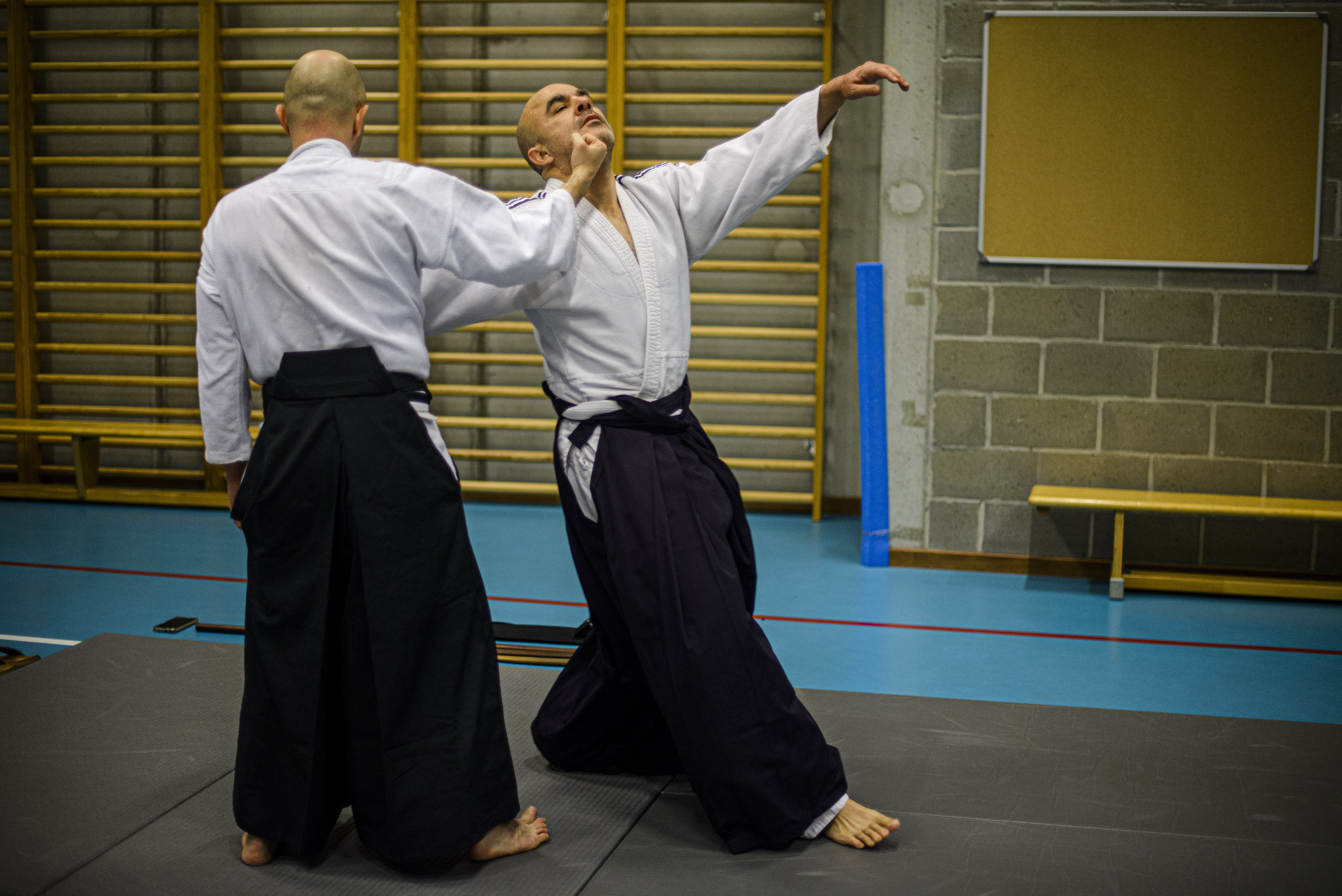 Aikido Yoake 1000 Bruxelles 2023 © Renaud Fang